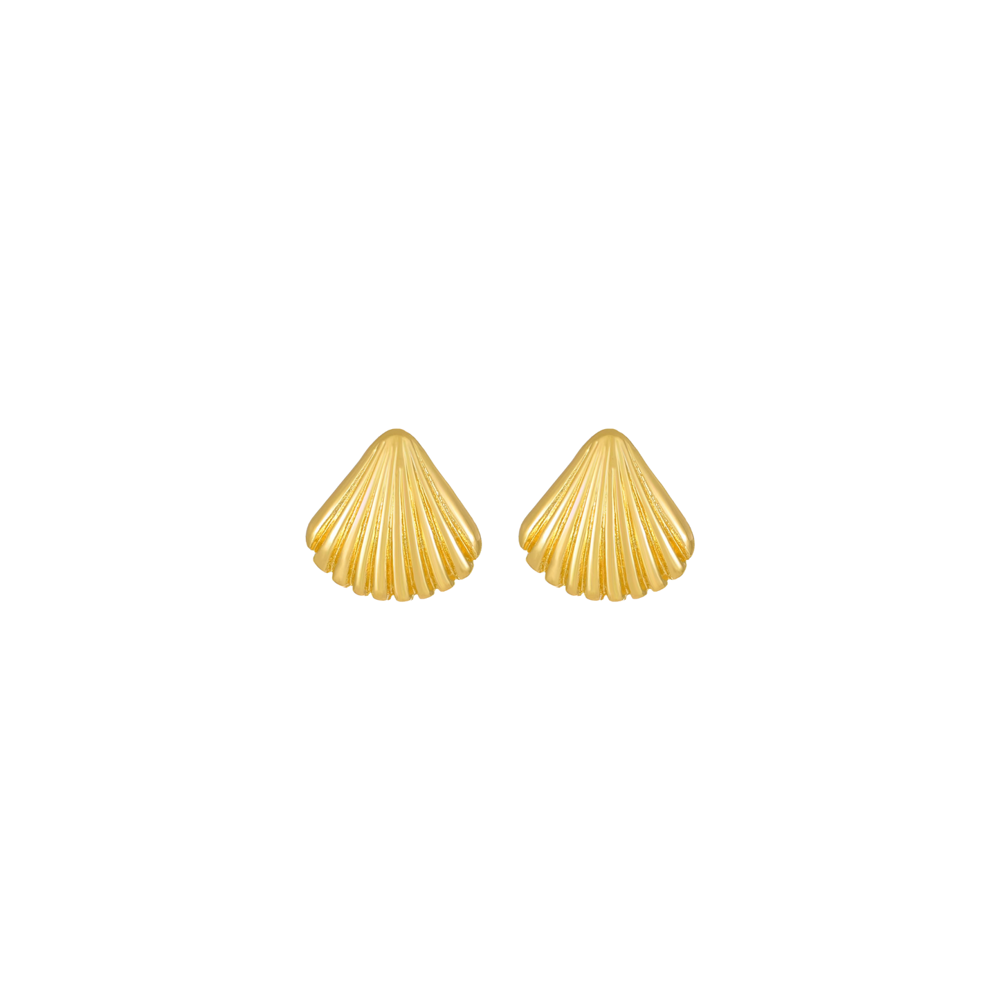 SHELL EARRINGS